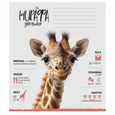 Тетрадь ученическая "Africa Animals" 012-3279K-3 в клетку, 12 листов