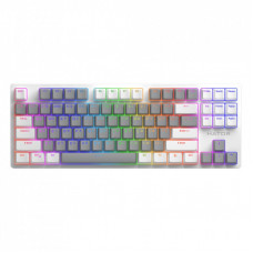 Клавиатура Hator Rockfall 2 Mecha Signature Edition USB White/Grey/White (HTK-521-WGW)