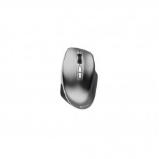 Мышка Canyon MW-21 Wireless Blue LED Dark gray (CNS-CMSW21DG)