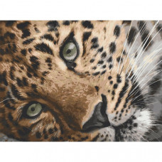 Картина по номерам. Art Craft "Леопард" 40х50 см 11635-AC