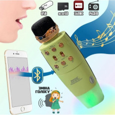 Караоке микрофон + беспроводная портативная колонка 2 в 1 Bluetooth Wster WS-2011 Салатовый (135512)
