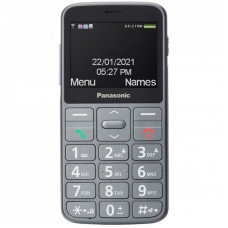 Мобильный телефон Panasonic KX-TU160 Grey (KX-TU160EXG)