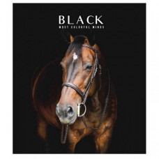 Тетрадь общая "Black" 096-3388L-1 в линию, 96 листов