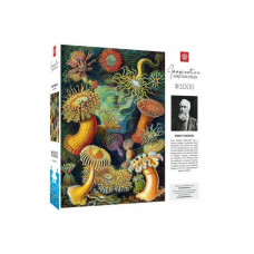 Пазл GoodLoot Imagination: Ernst Haeckel: Sea Anemones 1000 эл. (5908305244943)