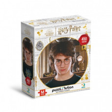 Пазл классический Hard-M "Harry Potter. Портрет Гарри" 200576, 450 элементов