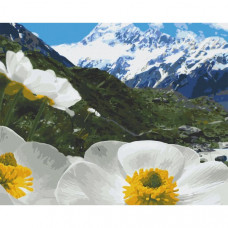 Картина по номерам. Art Craft "Альпийские маки" 40х50 см 10564-AC