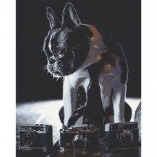 Картина по номерам. Art Craft "Застенчивый фотограф" 40х50 см 11642-AC
