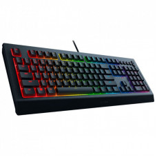 Клавиатура Razer Cynosa V2 (RZ03-03400700-R3R1)