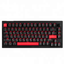 Клавиатура Lemokey Keychron X4 Brown Red LED USB Black (X4-A3-UA)