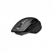 Мышка Rapoo MT750S Black