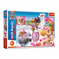 Пазл Trefl Paw Patrol Скай в действии 100 элементов (5900511163681)