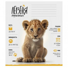 Тетрадь ученическая "Africa Animals" 012-3279K-1 в клетку, 12 листов
