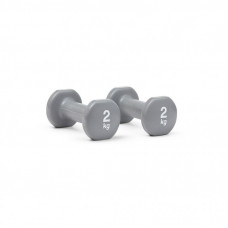 Гантель Reebok Dumbbells RAWT-16152 сірий Уні 2 кг (885652018234)