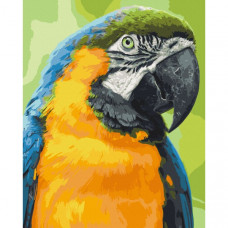 Картина по номерам. Art Craft "Попугай Ара" 40х50 см 11643-AC