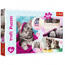 Пазл Trefl Милые котята 160 элементов (5900511153712)